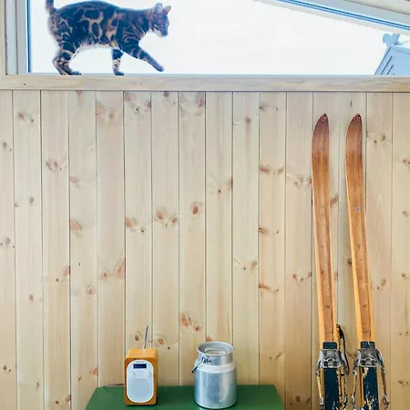 Traditional With Annex In The Mountains *