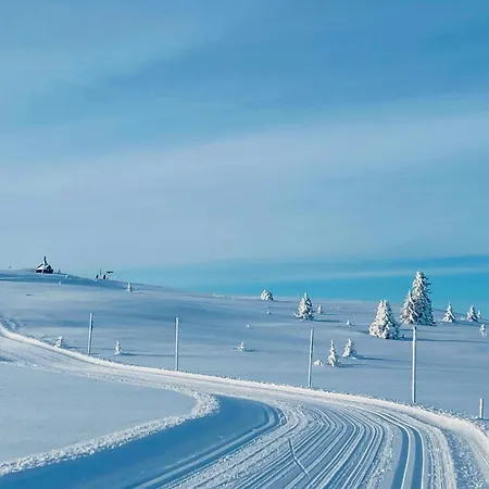 Semesterbostad Traditional With Annex In The Mountains